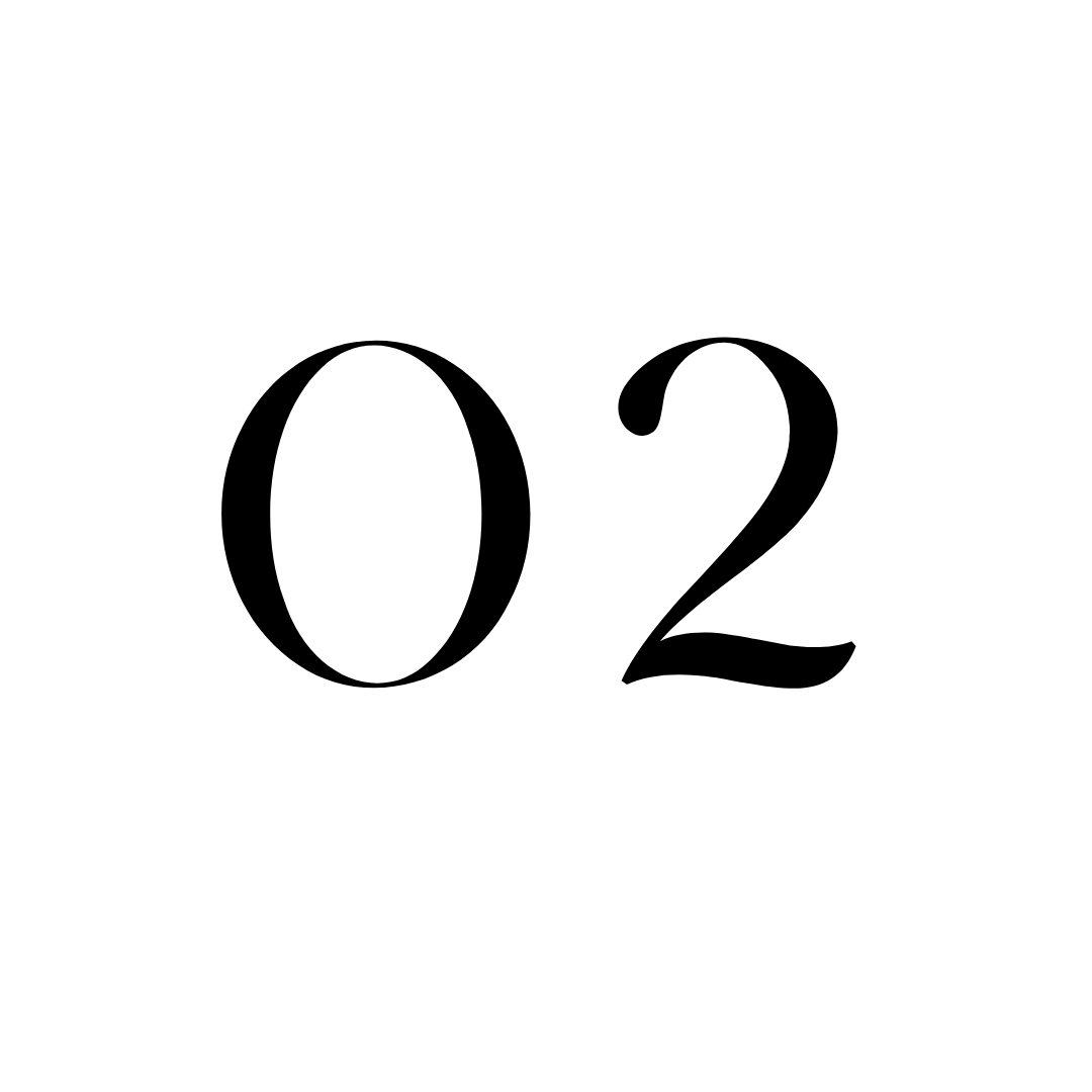 Black number '02' on a white background