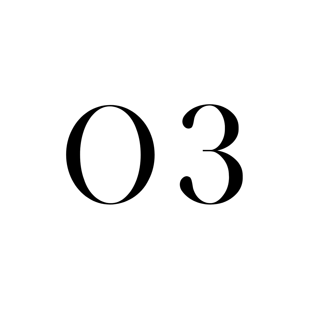 Black number '03' on a white background